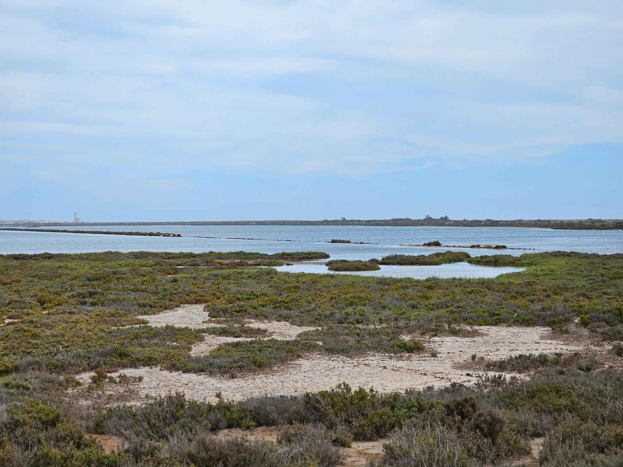 Precioso Apartamento En Cabo De Gata Eksteriør billede